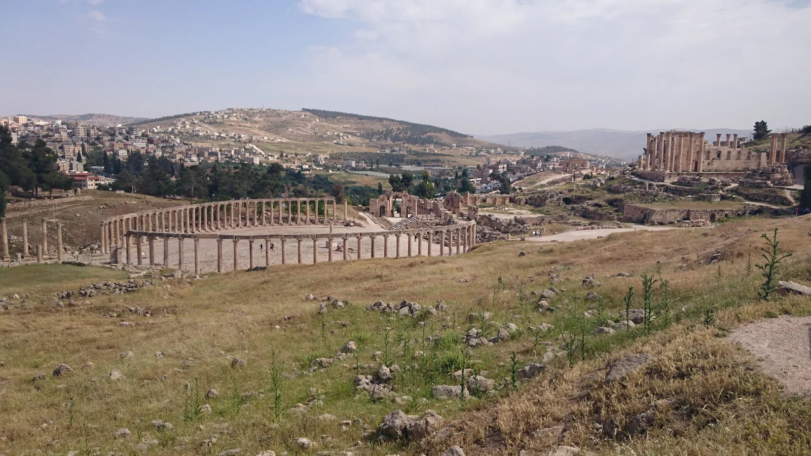 Il Foro ovale